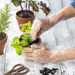 100 Count Disposable Poly Gloves - Latex Free