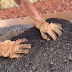 Wells Lamont Suede Cowhide Work Gloves - Medium