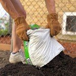 Wells Lamont Suede Cowhide Work Gloves - Medium