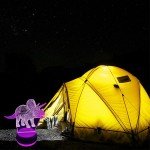 Xdorra Triceratops 3D LED Night Light