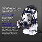15-in-1 Full Face Respirator with Carbon Filters