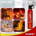 Portable 4-in-1 Fire Extinguisher with Mount