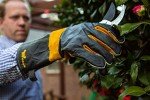 Premium Leather Heat Resistant BBQ & Fireplace Gloves