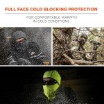Ergodyne N-Ferno Wind-Resistant Balaclava Ski Mask