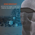 Ergodyne N-Ferno Wind-Resistant Balaclava Ski Mask