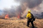 Yellow Wildland Helmet Shroud by Propper