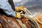 SKYDEER Premium Genuine Deerskin Work Gloves