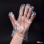 Plastic Food Service Gloves for Safe Handling
