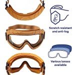 Dräger X-pect 4900 Safety Goggles for Everyone