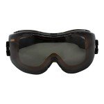 DEWALT DPG82-21 Smoke Anti-Fog Safety Goggles
