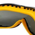 DEWALT DPG82-21 Smoke Anti-Fog Safety Goggles