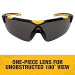 DEWALT DPG110 Trim-Fit Protective Eyewear, Black