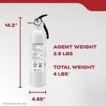 Kidde Auto Fire Extinguisher for Vehicles, 10-B:C