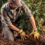 Men's Water-Resistant Leather Work Gloves - Extra Large