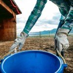 Water-Resistant Leather Work Gloves for Women
