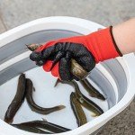 Rubber Coated Safety Gloves for Men and Women