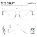 BISON LIFE Clear Polycarbonate Safety Glasses - 12 Pack