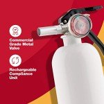 BRK Brands REC5 Fire Extinguisher 5-B: C