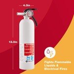 BRK Brands REC5 Fire Extinguisher 5-B: C