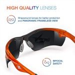 Bifocal Safety Glasses with Tinted Lenses