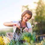 20 Pack Cut Resistant Gel Finger Guards