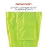 Ergodyne Hi-Vis Rain Pants, Black Bottom, Large