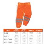 Ergodyne High Visibility Reflective Safety Pants