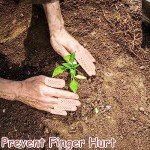 Gel Finger Protectors with Air Holes - 16 Pack