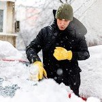 Insulated Waterproof Leather Work Gloves for Cold Weather