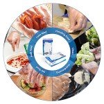 Clear Food Prep Gloves 500ct - Food Safe