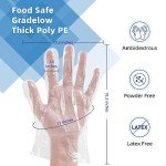 Clear Food Prep Gloves 500ct - Food Safe