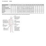 Men's Waterproof Motorcycle Rain Suit - X-Large