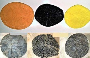 Tree Stump Concrete Texture Stamp Kit