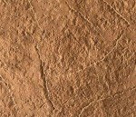 Walttools Seamless Concrete Stamp - 10 Patterns Available