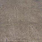 MARSHALLTOWN Rock'N'Roller, Concrete Roller Border, Heavy Slate Pattern, 23-1/2 Inches, Made in the USA, REDRR110