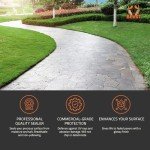 BEEST Paver Sealer - High Gloss Wet Look Stone Sealer & Stamped Concrete Sealer Outdoor & Indoor - Color Enhancing Driveway Sealer & Patio Paver Sealer Wet Look, Brick Sealer & Natural Stone - 5Gal