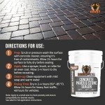 BEEST Paver Sealer - High Gloss Wet Look Stone Sealer & Stamped Concrete Sealer Outdoor & Indoor - Color Enhancing Driveway Sealer & Patio Paver Sealer Wet Look, Brick Sealer & Natural Stone - 5Gal