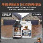 BEEST Concrete Acid Stain - Concrete Dye & Concrete Stain Outdoor for Stamped Concrete, Pavers, Cement Stain - Unique Marbled Finish - Burnt Ember - 1Gal