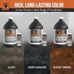 BEEST Concrete Acid Stain - Concrete Dye & Concrete Stain Outdoor for Stamped Concrete, Pavers, Cement Stain - Unique Marbled Finish - Burnt Ember - 1Gal