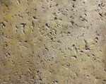 Walttools 2x2 Foot Seamless Concrete Texturing Skin