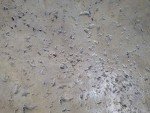 Walttools 2x2 Foot Seamless Concrete Texturing Skin