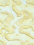 7" Ocean Floor Stucco Texture Roller