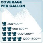 Light Gray Acrylic Concrete Stain - 1 Gallon