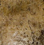 Walttools Outback Stone Seamless Concrete Stamp Set
