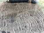 Medium Italian Slate Concrete Texture Roller