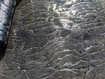 Medium Italian Slate Concrete Texture Roller
