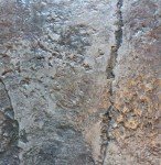Walttools Seamless Heavy Quarry Stone Concrete Stamp