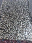 Costa Rican Granite Concrete Texture Roller Stamp
