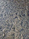 Rugged Stone Vertical Concrete Texture Stamp