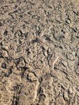 Rugged Stone Vertical Concrete Texture Stamp